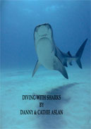 Diving with Sharks - click here for more info