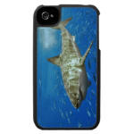 Shark iPhone 4 Case