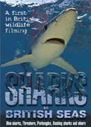 Sharks in British Seas DVD