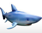 7 foot long giant inflatable shark